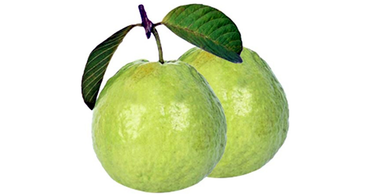 চর্মরোগে উপকারী পেয়ারা