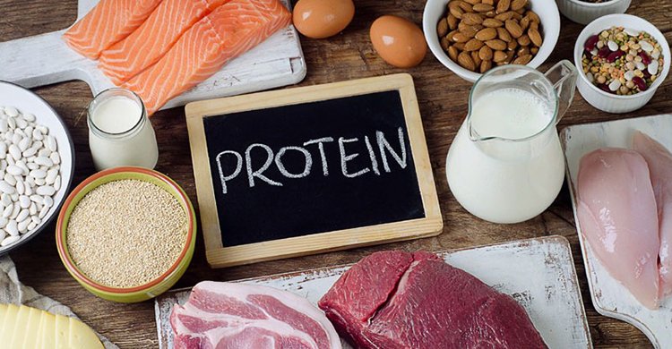 প্রোটিন কেন গুরুত্বপূর্ণ? কী পরিমাণে খেতে পারেন?